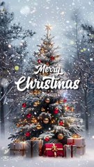 Merry Christmas merry Christmas merry 🎄 coming soon #