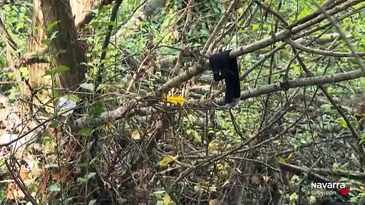 Noticias de Navarra 14.30h 19/12/2025