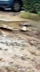 Alluvione all'Elba, strade allagate e disagi per la popolazione