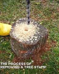 Here's how you can remove a tree stump from your backyard!🔥