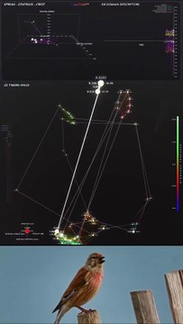 🐦📊 Quand le chant devient cartographie Cette analyse visuelle du chant d’un linotte mélodieuse (Linaria cannabina) transforme le son en données projetées dans l’espace 3D....