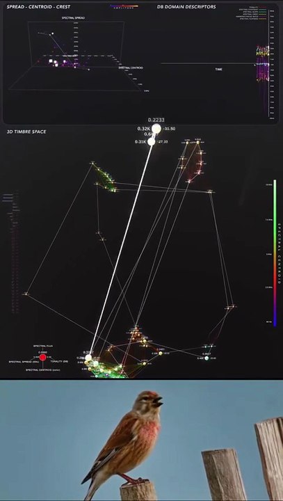 🐦📊 Quand le chant devient cartographie Cette analyse visuelle du chant d’un linotte mélodieuse (Linaria cannabina) transforme le son en données projetées dans l’espace 3D....