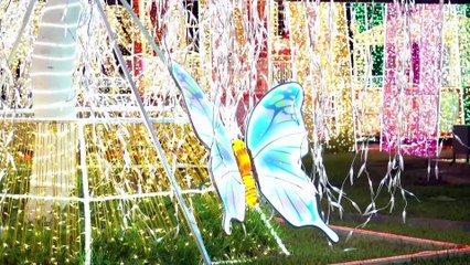 Рождественские огни привлекают жителей Лагоса, несмотря на насилие и рост цен