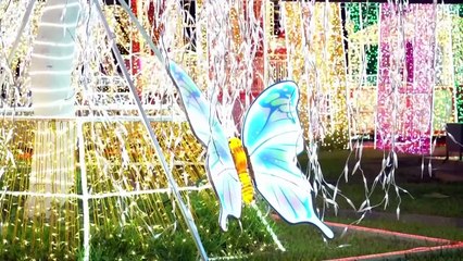 Az erőszak és az infláció közepett a karácsonyi fények hoztak némi békét a nigériai Lagosba