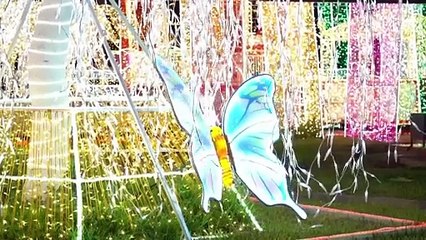 Nigéria: luzes de Natal atraem habitantes de Lagos