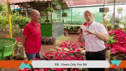 SLP Jueves 27 nov Pase pastoras