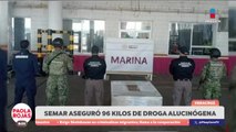 Aduana de Veracruz frena exportación de sustancia ilícita | DPC con Paola Rojas