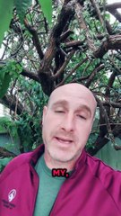 Mt Subreddit Got Banned and Why