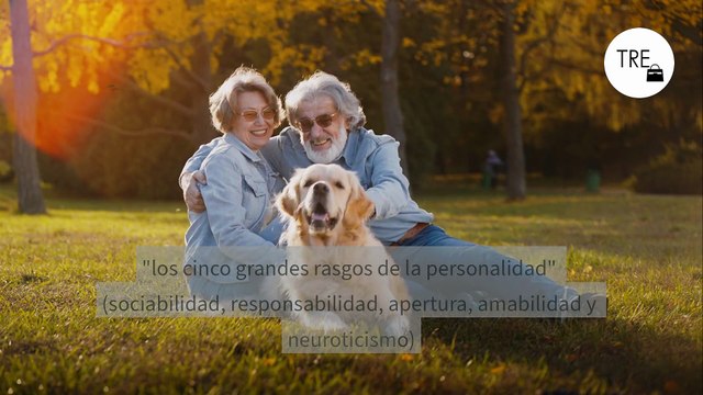 Los nacidos entre 1950 y 1970 tienen una ventaja psicológica sobre las otras generaciones: acaban de entrar en su peak