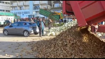 Francia, protesta agricolotori: patate davanti alla villa di Macron