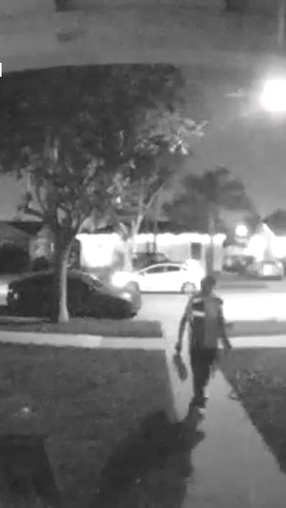Delivery man steals cat from driveway