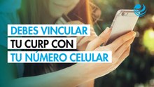 Vincula tu celular a la CURP: trámite presencial o en línea