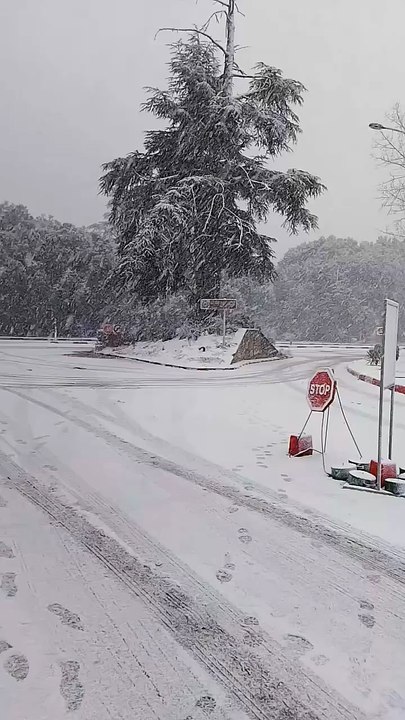 331K views · 4.9K reactions ｜ عاجل يامغاربة بداية تساقط الثلوج وبكثافة في افران عاصمة الثلج ｜ طقس وفلاحة [1489741302637287]