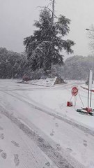 331K views · 4.9K reactions ｜ عاجل يامغاربة بداية تساقط الثلوج وبكثافة في افران عاصمة الثلج ｜ طقس وفلاحة [1489741302637287]