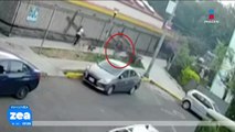 Mujer agredida por hombre mientras caminaba con sus mascotas exige justicia