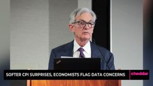 Softer CPI Surprises, Economists Flag Data Concerns
