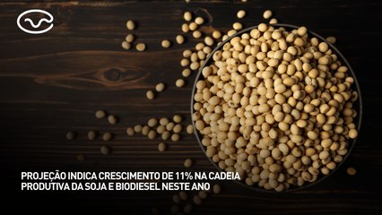 Projeção indica crescimento de 11% na cadeia produtiva da soja e biodiesel neste ano