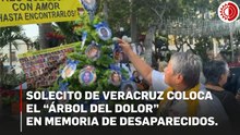 Solecito de Veracruz coloca el “árbol del dolor”  en memoria de desaparecidos