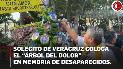 Solecito de Veracruz coloca el “árbol del dolor”  en memoria de desaparecidos