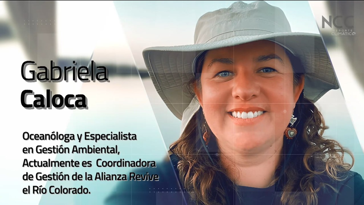 Reporte Climático 229 | Reporte Climático 229 |...