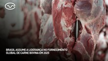 Brasil assume a liderança no fornecimento global de carne bovina em 2025
