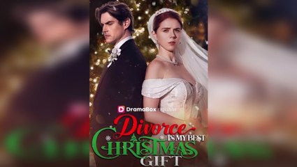 [Hot 2025🔥] Divorce Is My Best Christmas Gift