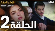 مسلسل الأزهار البريّة | الحلقة 2 | مدبلج | Yaban Çiçekleri