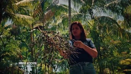 Empresas já estão autorizadas a montar estandes ao Show Rural