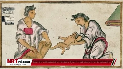 Rescatan la historia de las chichihuas, figuras importantes en la sociedad mexica