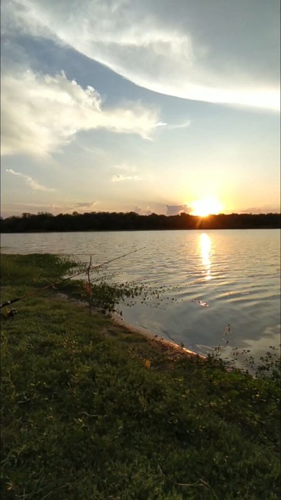 Aquí es donde la vida se reinicia 🎣❤️