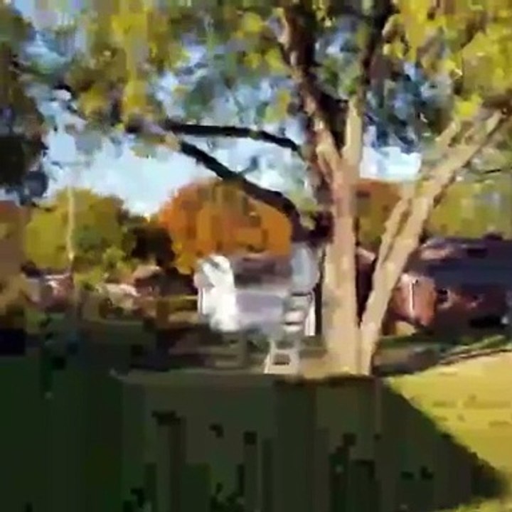 tree the home
