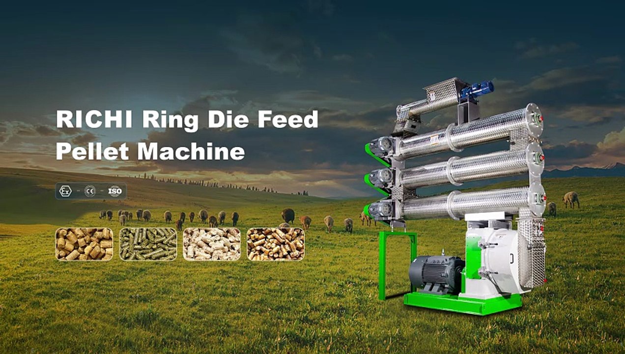 Feed Pellet Machine | Turn Raw Materials into High-Quality Feed Pellets