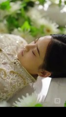 Renací y Me Casé con el Tío del Patán ReelShort CN ES