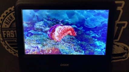 Finding Nemo - Exploring The Reef with Jean-Michel Cousteau