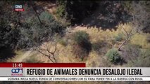 Esto sabemos del desalojo en el Refugio Franciscano de perros y gatos en Cuajimalpa, CDMX