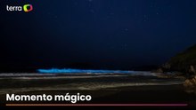 Jovem registra mar com brilho fluorescente em Florianópolis (SC): 'Perfeição'