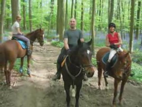 1 juin 2007 - 1 juin 2008