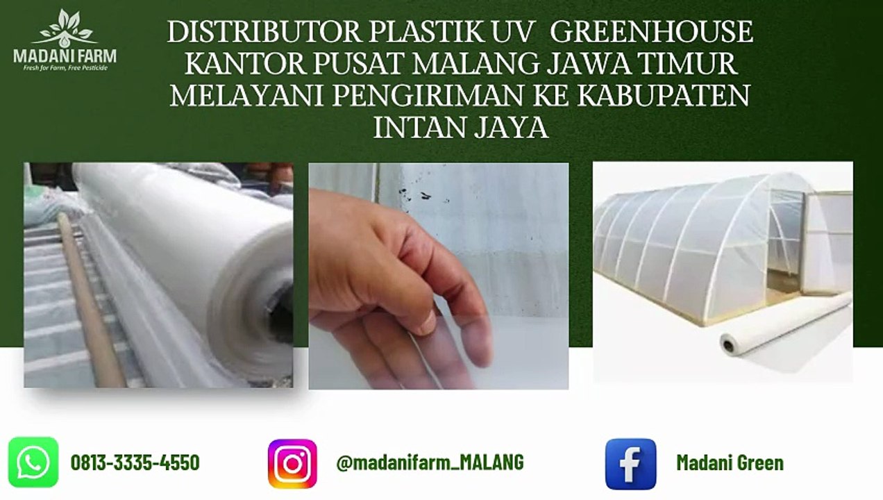 PROMO GILA !!! Distributor Perlengkapan Greenhouse Madani Farm di Malang Pengiriman ke Kab Intan Jaya 0813-3335-4550