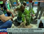Movimientos ecosocialistas siembran samanes en El Valle para conmemorar Bicentenario de Chuquisaca