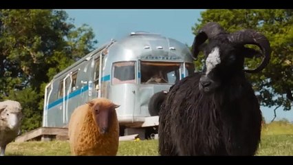 The Sheep Detectives Movie