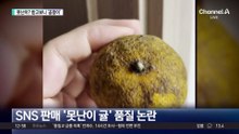 ‘못난이 귤’ 시켰더니…못 먹는 귤