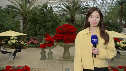 [날씨] 초봄처럼 포근, 전국 가끔 비...공기 점차 탁해져 / YTN