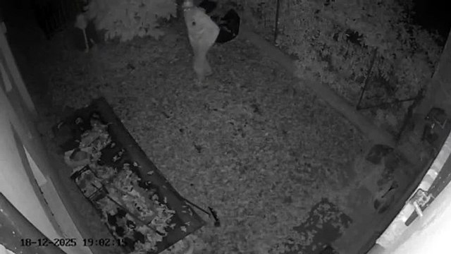 Furti ad Aguscello, le immagini dei ladri dalle telecamere