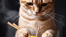 🐱🍜  #cat #猫咪 #猫 #Ai #赞赞赞