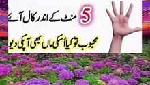5 minutes k under naraz mehbob ki call aye ye wazifa kren