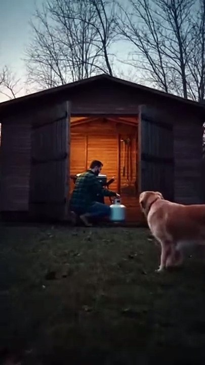 Dog Pushes Owner Out Before Explosion | Heroic Animal Moment 🐕🔥