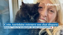 Le jour de son anniversaire, cette Auriolaise retrouve son chat disparu depuis 7 ans grâce à sa puce
