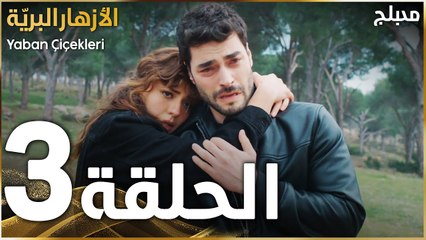 مسلسل الأزهار البريّة | الحلقة 3 | مدبلج | Yaban Çiçekleri