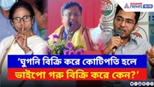 ‘ঘুগনি বিক্রিতে কোটিপতি হলে ভাইপো গরু বিক্রি করে কেন?’ মোদীর সভায় হুঙ্কার সুকান্তর
