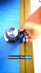 Unlock the Best Cat Food in Karachi | Fresh Homemade Meals by Billi Treats #cat #petfood #food